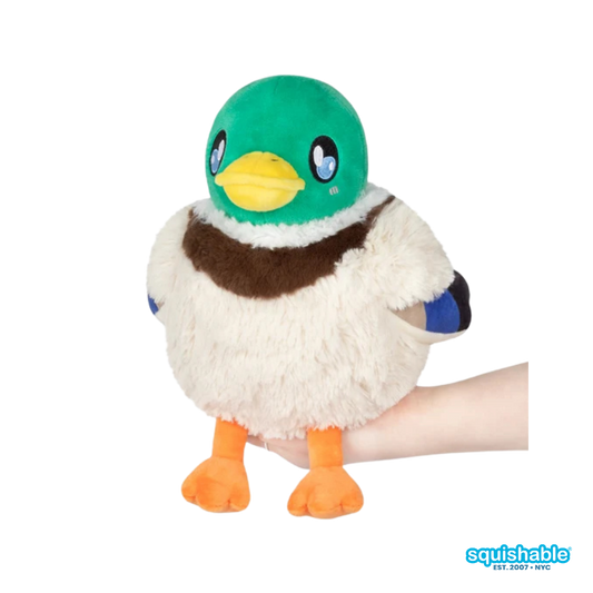 Mini Squishable Mallard Duck