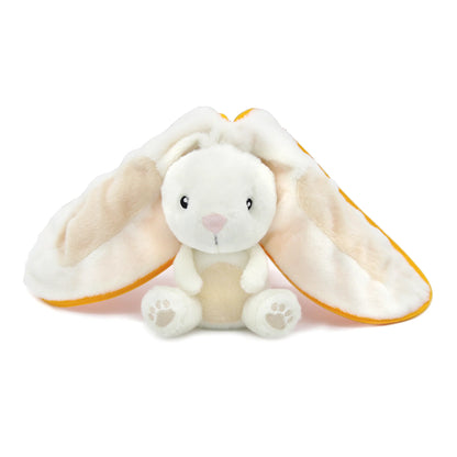 Gadget the Rabbit / Carrot