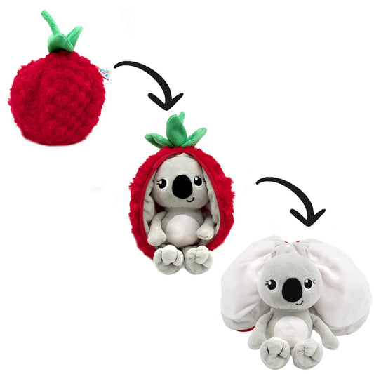 Tartlet the Koala / Raspberry